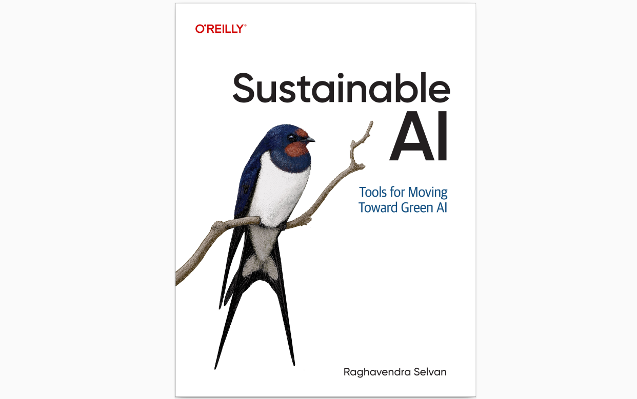 Sustainable AI